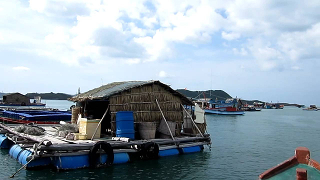 trai-nghiem-lan-bat-ca-tai-dao-nam-du